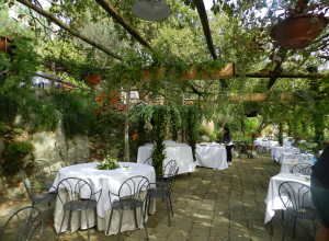 image13 Fattoria Terranova
